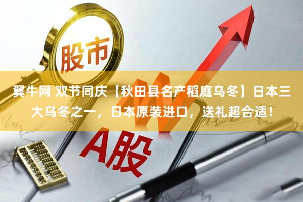 翼牛网 双节同庆【秋田县名产稻庭乌冬】日本三大乌冬之一，日本原装进口，送礼超合适！